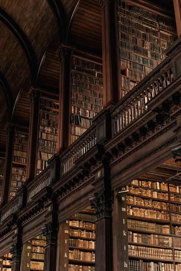 The Future of Libraries in the Digital Age: Evolution or&nbsp;Extinction?